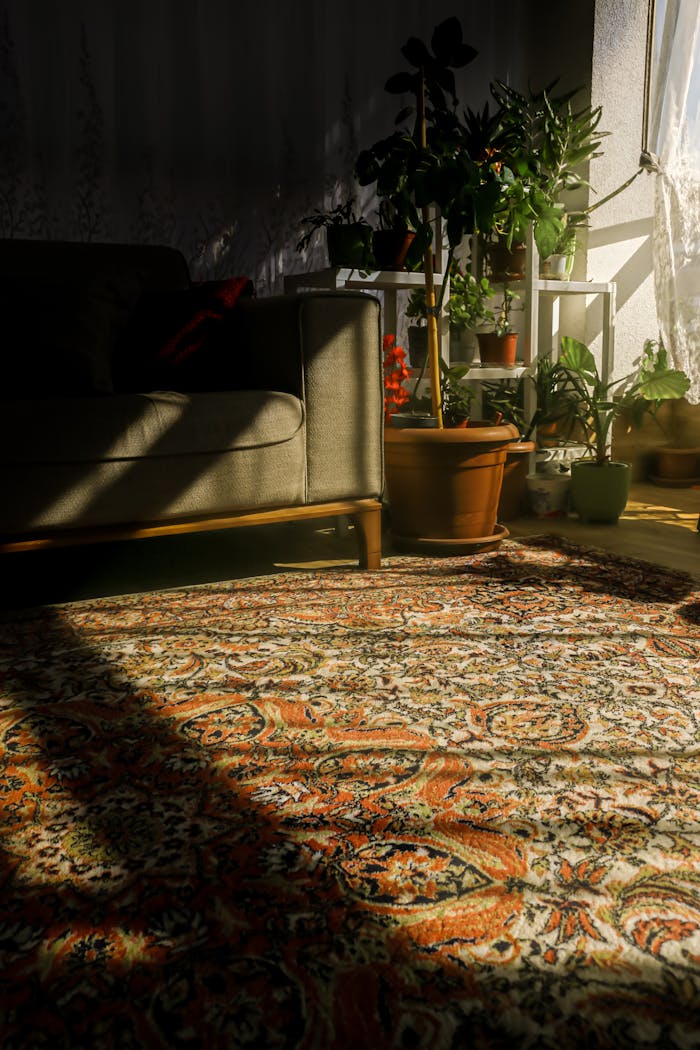 Warm sunny room featuring a classic orange and white patterned carpet and lush indoor plants.